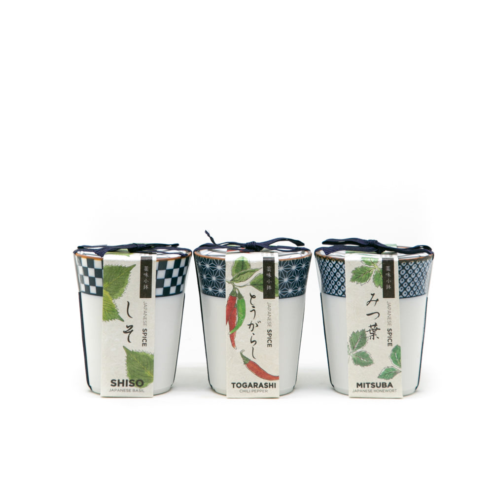 Set 3 Pots Céramique Prêt à germer Herbe Aromatique Japonaise – Le  Jardinier de Montmartre